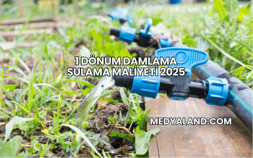 1 Dönüm Damlama Sulama Maliyeti 2025