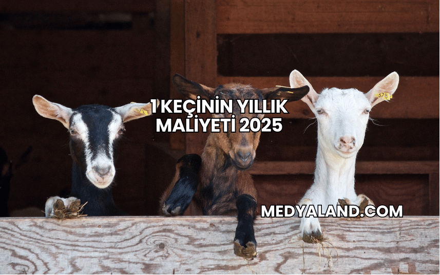 1 Keçinin Yıllık Maliyeti 2025