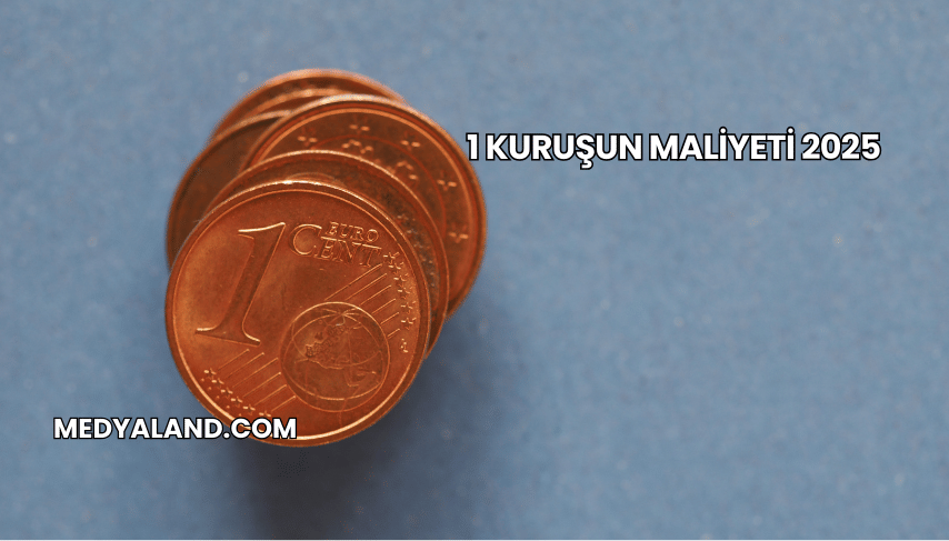 1 Kuruşun Maliyeti 2025