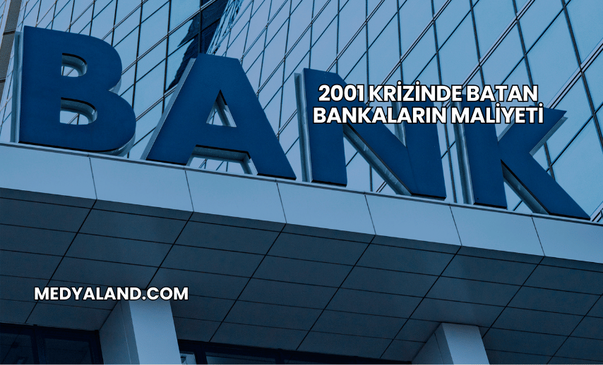 2001 Krizinde Batan Bankaların Maliyeti