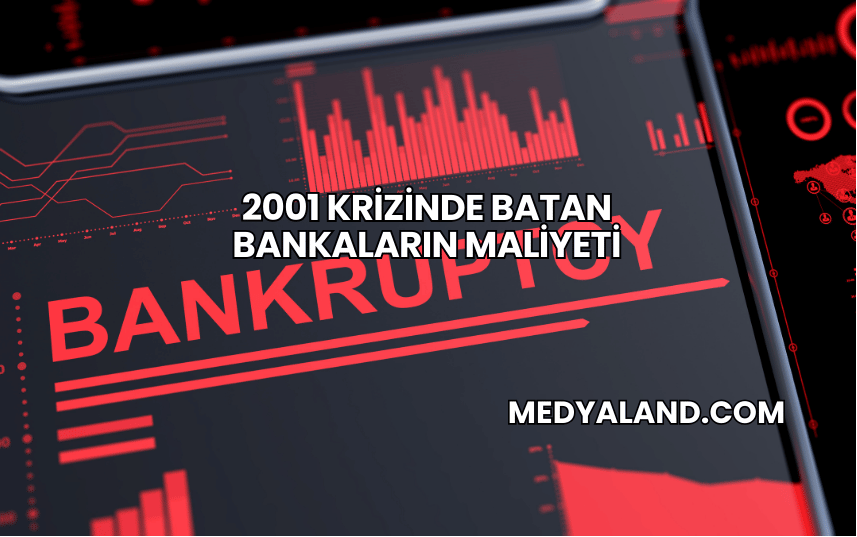 2001 Krizinde Batan Bankaların Maliyeti