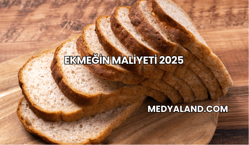 Ekmeğin Maliyeti 2025