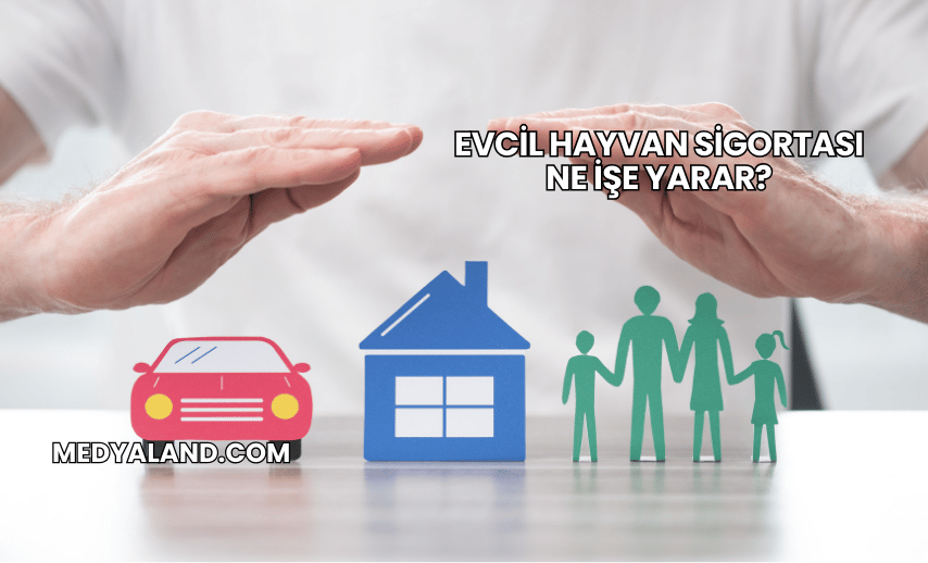 Evcil Hayvan Sigortası Ne İşe Yarar?