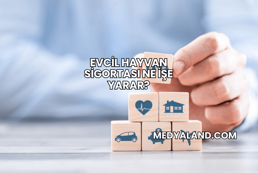 Evcil Hayvan Sigortası Ne İşe Yarar?