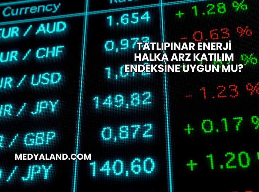 Tatlıpınar Enerji Halka Arz Katılım Endeksine Uygun mu?