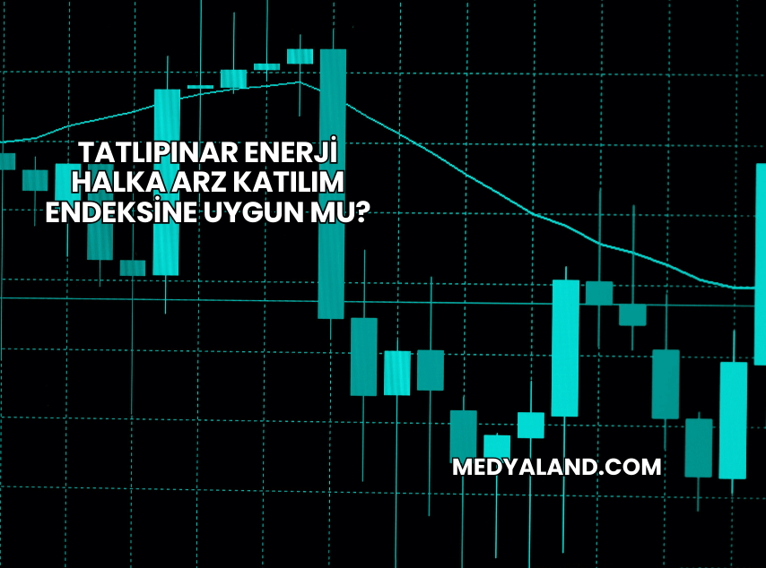 Tatlıpınar Enerji Halka Arz Katılım Endeksine Uygun mu?