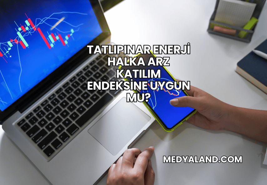 Tatlıpınar Enerji Halka Arz Katılım Endeksine Uygun mu?