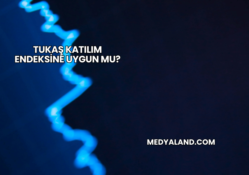 Tukaş Katılım Endeksine Uygun mu?