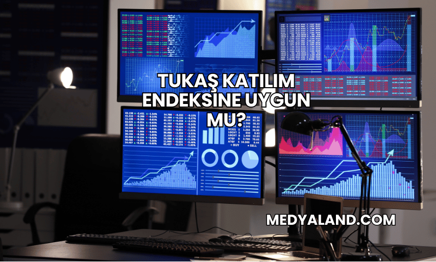 Tukaş Katılım Endeksine Uygun mu?