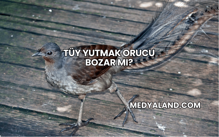 Tüy Yutmak Orucu Bozar mı?