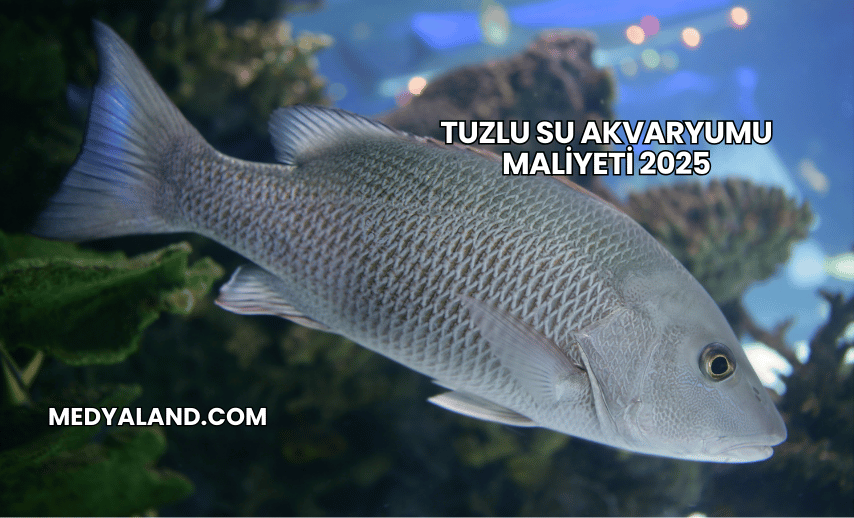 Tuzlu Su Akvaryumu Maliyeti 2025