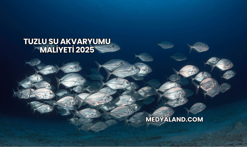 Tuzlu Su Akvaryumu Maliyeti 2025