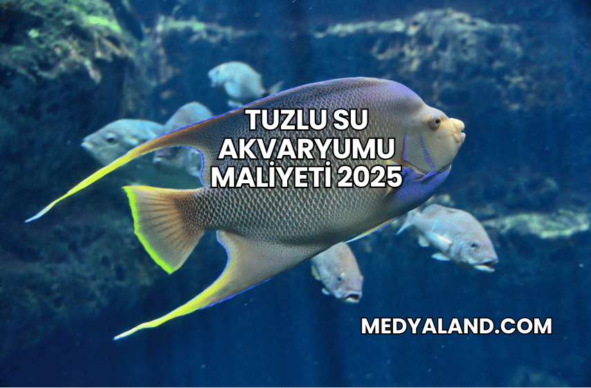 Tuzlu Su Akvaryumu Maliyeti 2025