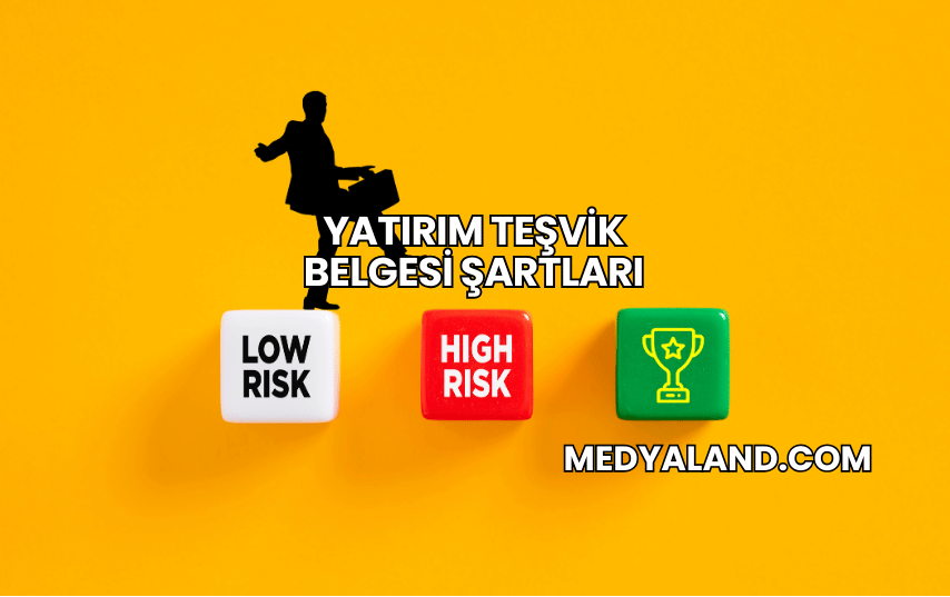 Yatırım Teşvik Belgesi Şartları