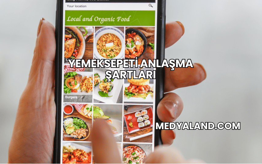 Yemeksepeti Anlaşma Şartları