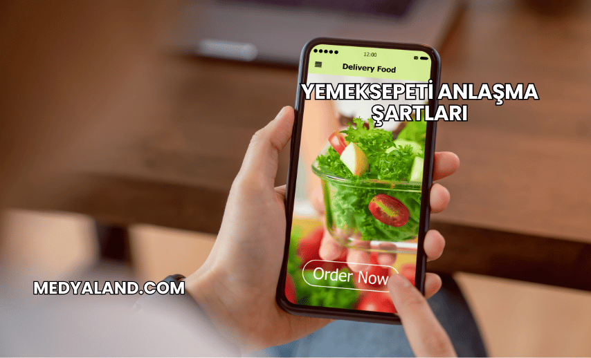 Yemeksepeti Anlaşma Şartları