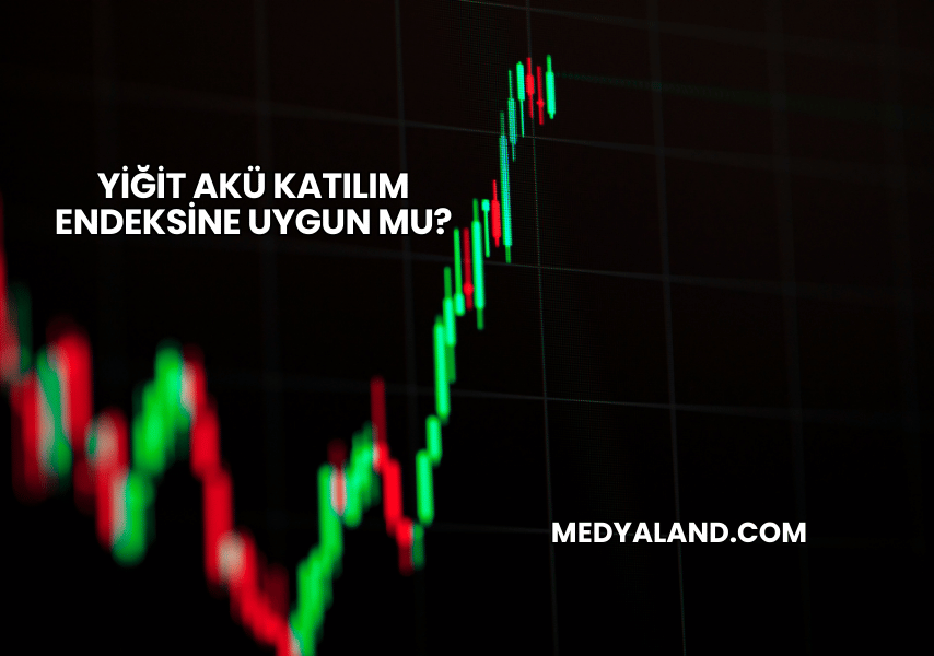 Yiğit Akü Katılım Endeksine Uygun mu?