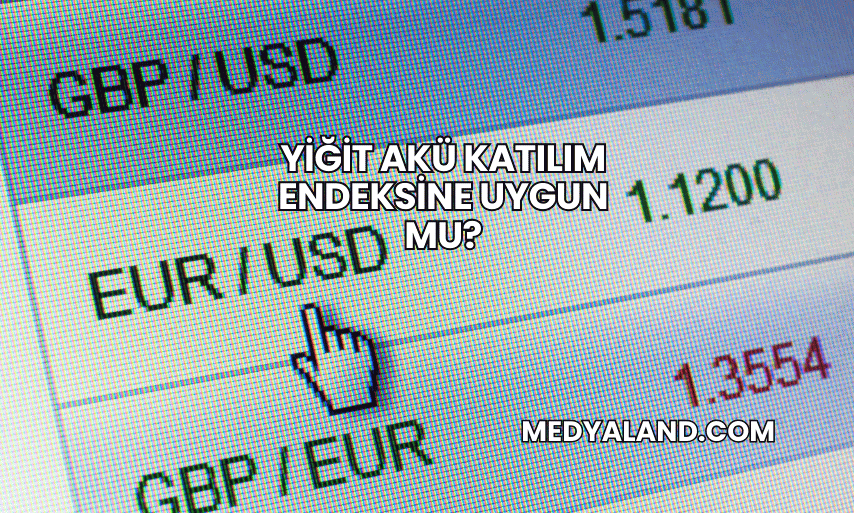 Yiğit Akü Katılım Endeksine Uygun mu?