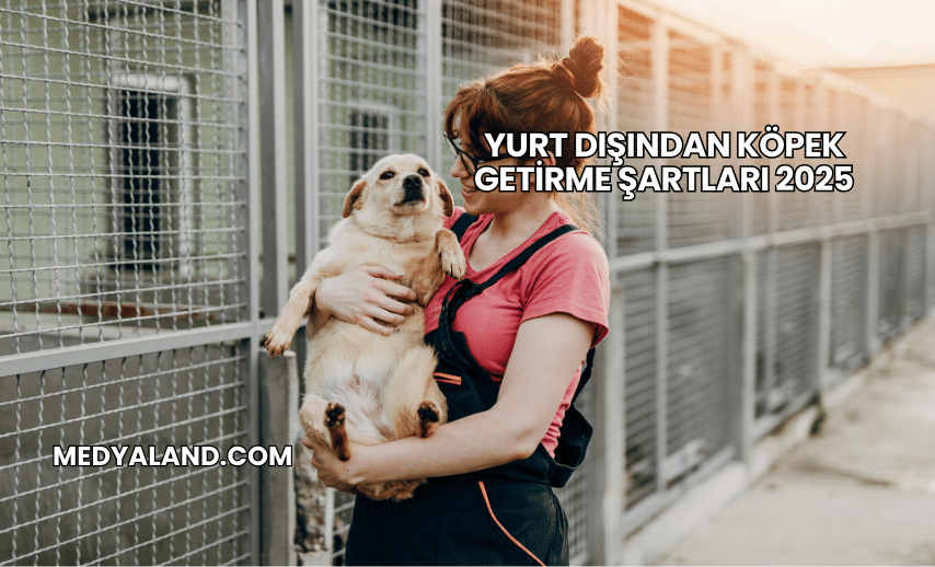 Yurt Dışından Köpek Getirme Şartları 2025